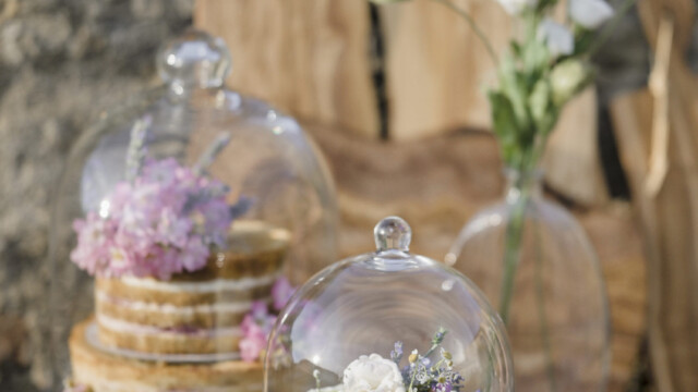 Photographer @andreapittiph Photographer @andreapittiph