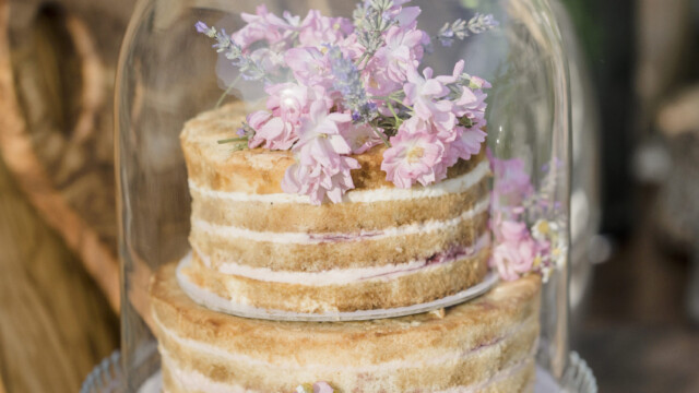 Photographer @andreapittiph Photographer @andreapittiph