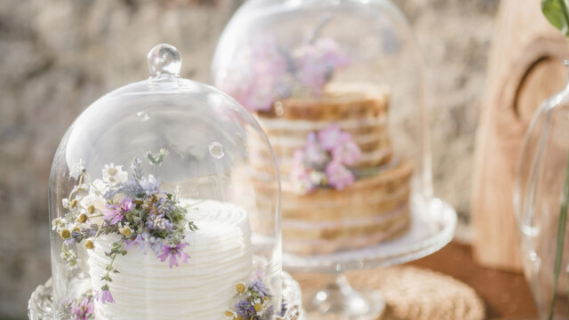 Photographer @andreapittiph Photographer @andreapittiph